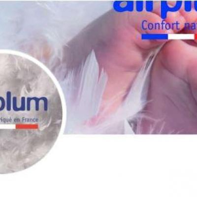 La bannière d’Airplum